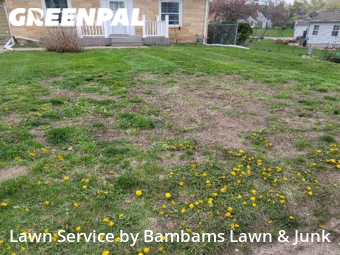 Yard Cutting nearby Cedar Rapids, IA, 