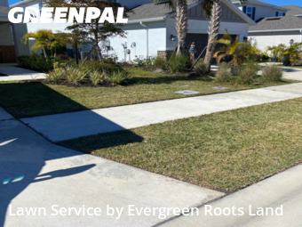 Lawn Cut nearby Sarasota, FL, 