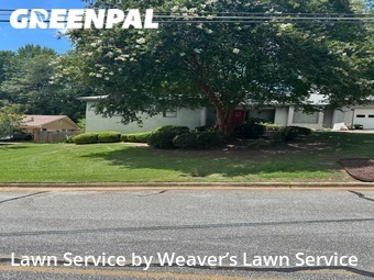 Grass Cut nearby Columbus, GA, 