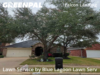Lawn Care Servicein Katy,77494,Lawn Care by Blue Lagoon Lawn Serv, work completed in Feb , 2026