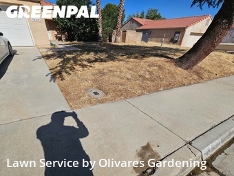 Lawn mowing work completed in Palmdale, CA