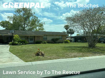 Lawn Care nearby Jacksonville Beach, FL, 