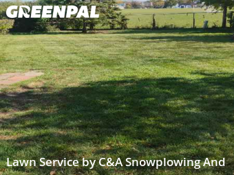 Yard Upkeep in Streamwood, 60107, Yard Grooming by C&A Snowplowing And , work completed in Nov , 2025