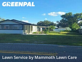 Grass Cutting nearby Plant City, FL, 