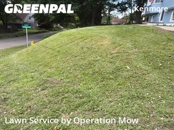 Lawn Mow nearby Akron, OH, 