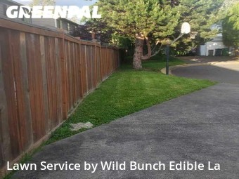 Grass Cutting nearby Auburn, WA, 