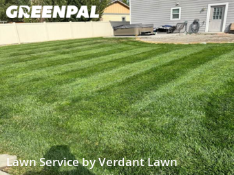 Grass Cutting nearby Loveland, CO, 