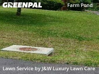 Lawn Maintenance nearby Charlotte, SC, 