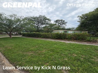 Grass Cut nearby Jacksonville, FL, 