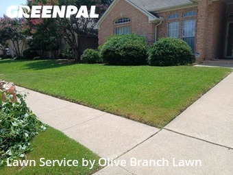 Grass Cutting nearby Haltom City, TX, 