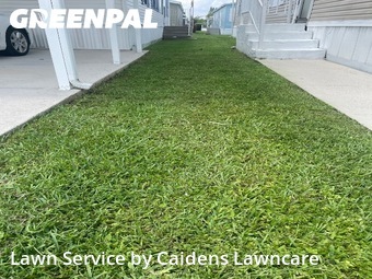 Lawn Mow nearby Davie, FL, 
