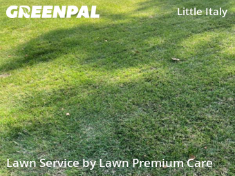 Lawn Cutting nearby Omaha, NE, 