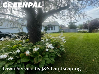 Lawn Cut nearby Woodstock, IL, 