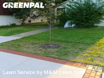 Lawn Cutting nearby Hammond, IL, 