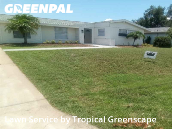 Grass Cut nearby Port Charlotte, FL, 