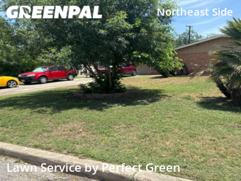 Grass Cut nearby Universal City, TX, 