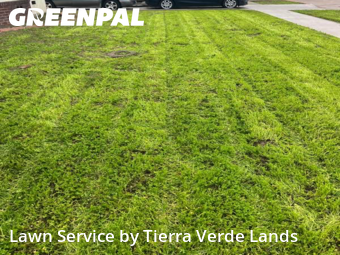 Work completed by grass-trimming-service-in-Huntington Park-CA