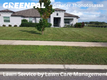 Lawn Cut nearby Thonotosassa, FL, 