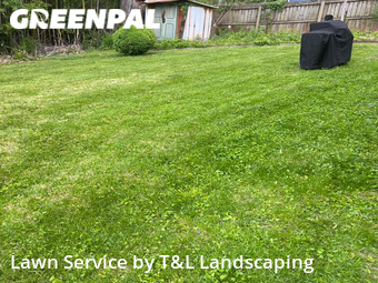 Lawn Cut nearby Lynchburg, VA, 