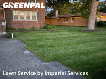 Lawn Mowing nearby Worth, IL, 