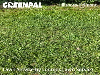 Lawn Mowing Service nearby Nashville, TN, 