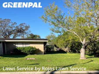 Lawn Mow nearby San Juan, TX, 