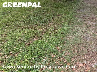 Grass Cutting nearby St. Cloud, FL, 
