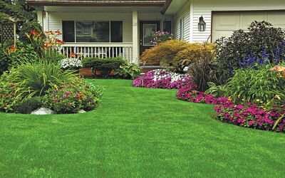Local Lawn care service near me in Millwood, WA, 99212