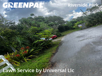 Lawn Service nearby Fort Lauderdale, FL, 