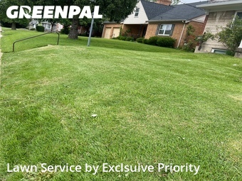 Yard Cutting nearby Cincinnati, OH, 