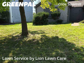 Work completed by local-lawn-care-services-in-Dublin-CA