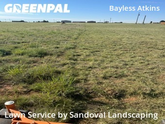 Lawn Maintenance nearby Lubbock, TX, 