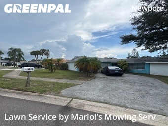 Lawn Cut nearby Clearwater, FL, 