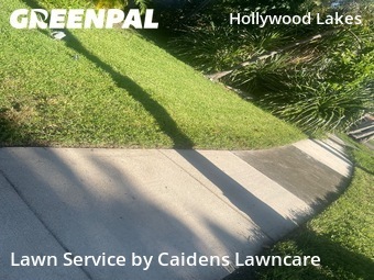 Work completed by grass-care-professionals-in-Hollywood-CA