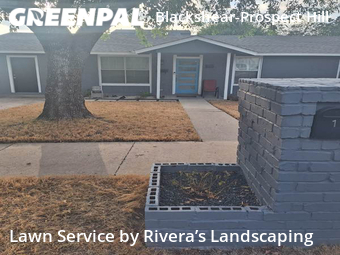 Lawn Cut nearby Austin, TX, 