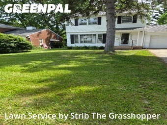 Yard Cutting nearby Beachwood, OH, 