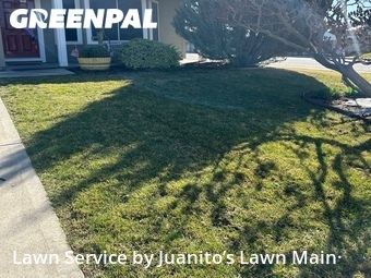 Lawn mowed in Pasco, 99301