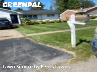 Yard Cutting nearby Lake View, NY, 