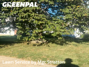 Lawn Care in Berea, 44017, Lawn Upkeep by Mgc Stratton, work completed in Dec , 2025