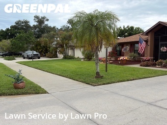 Lawn mowing work completed in Venice, CA