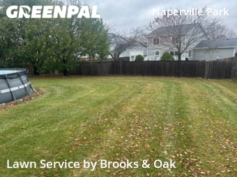 Yard Cutting nearby Naperville, IL, 