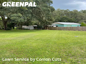 Grass Cut nearby Bradenton, FL, 