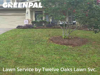 Yard Management in Newnan, 30265, Weekly Mowing by Twelve Oaks Lawn Svc., work completed in Nov , 2025