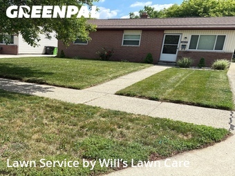 Lawn mowed in Roseville, 48066