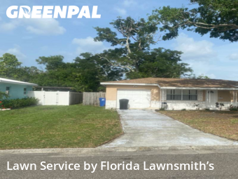 Grass Cutting nearby Saint Petersburg, FL, 