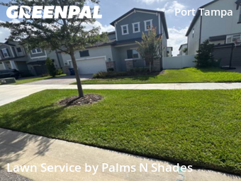 Lawn Mowing nearby Tampa, FL, 
