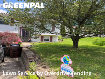 Yard Cutting nearby Independence, KY, 