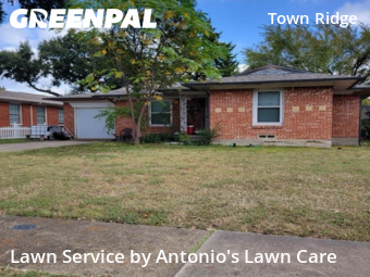 Lawn Mowing Servicein Mesquite,75149,Lawn Mow by Antonio's Lawn Care, work completed in Jan , 2026
