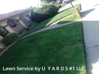 Work completed by lawn-mowing-quotes-in-Modesto-CA