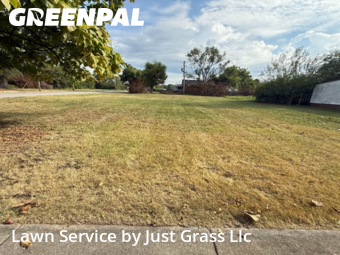 Grass Cutting in East St. Louis, 62205, Yard Upkeep by Just Grass Llc, work completed in Nov , 2025